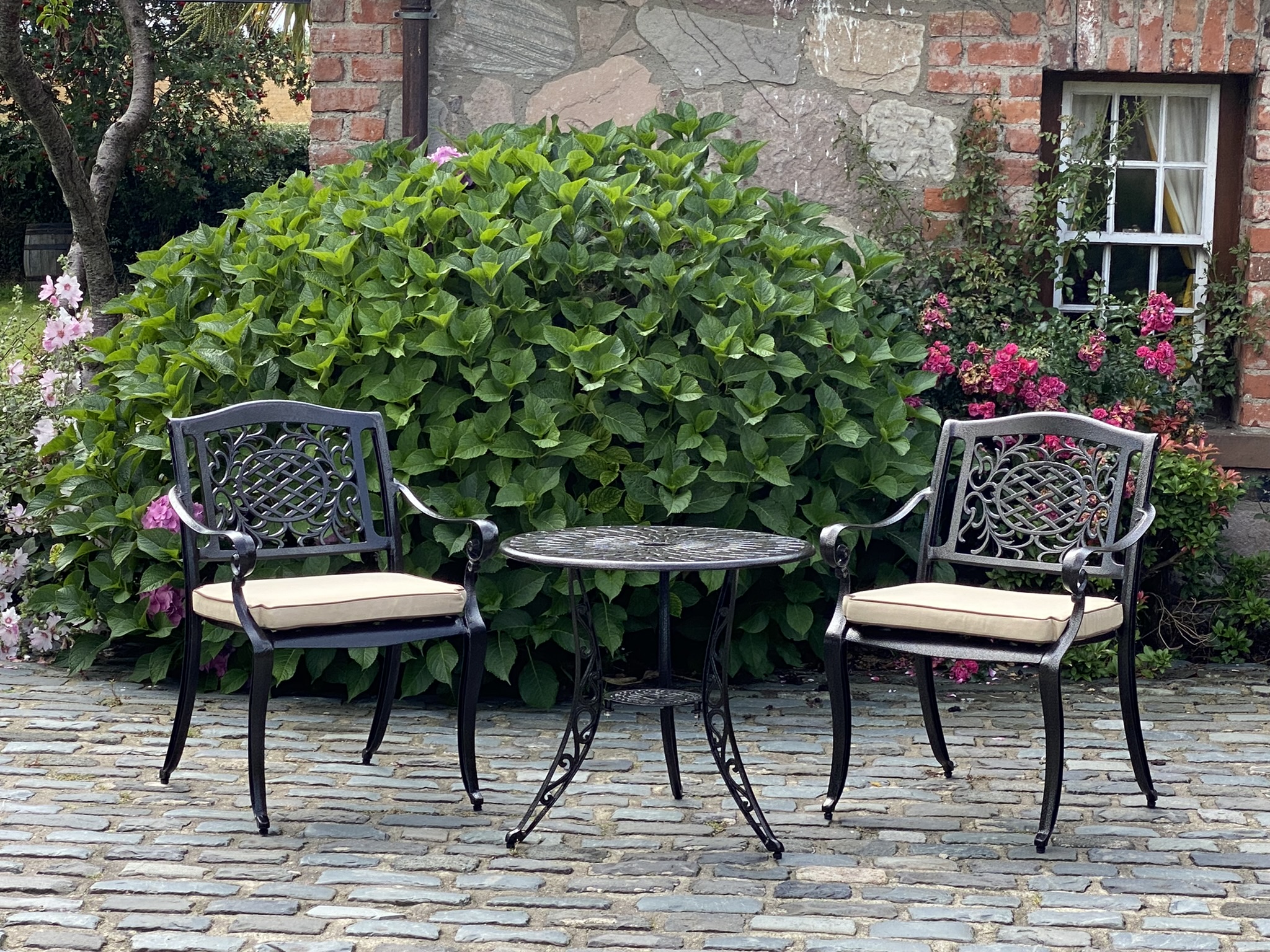 Garden Suite 2 Chairs - Moy Antiques