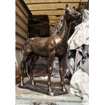 Bronzed Horse 
