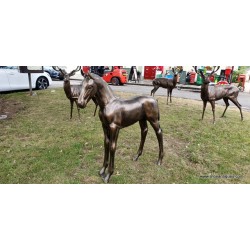 Lifesize Bronzed Foal 1