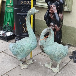 Bronze Geese