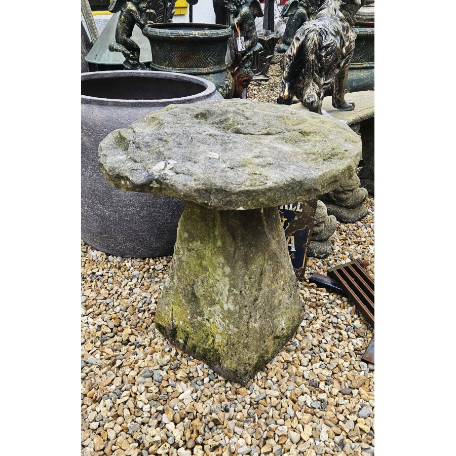 Staddle Stone 1
