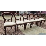 Dining Chairs x 6