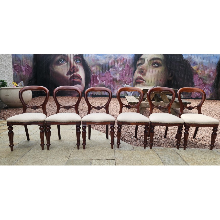 Dining Chairs x 6