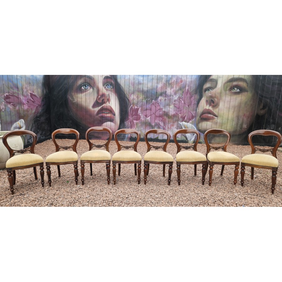 Dining Chairs x 8