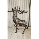 Large Stag Impressive