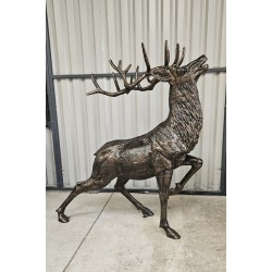 Large Stag Impressive