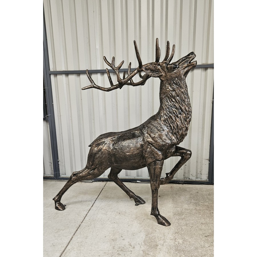 Large Stag Impressive