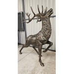 Large Stag Impressive