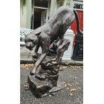 Cougar Climbing Rock
