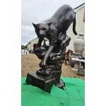 Cougar Climbing Rock