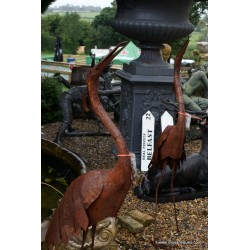 Birds Rusty