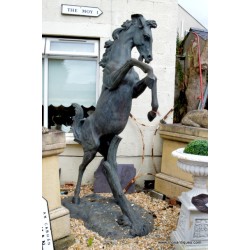 Bronze Horse Stallion