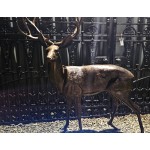 Bronzed Stag Moy Antiques