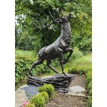 Stag Climbing Rock Shine Finish