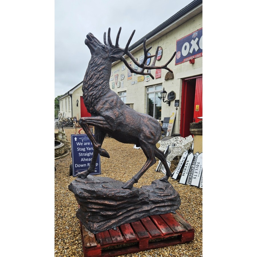 Stag Climbing Rock