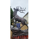 Stag Climbing Rock