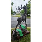 Stag Climbing Rock