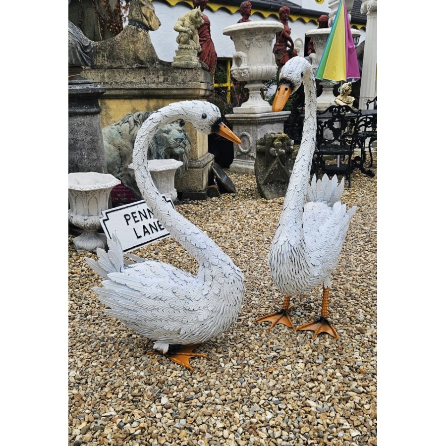 Swan Pair
