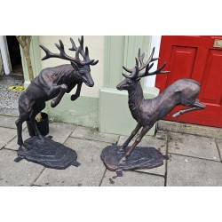 Stag Leaping Stag Landing