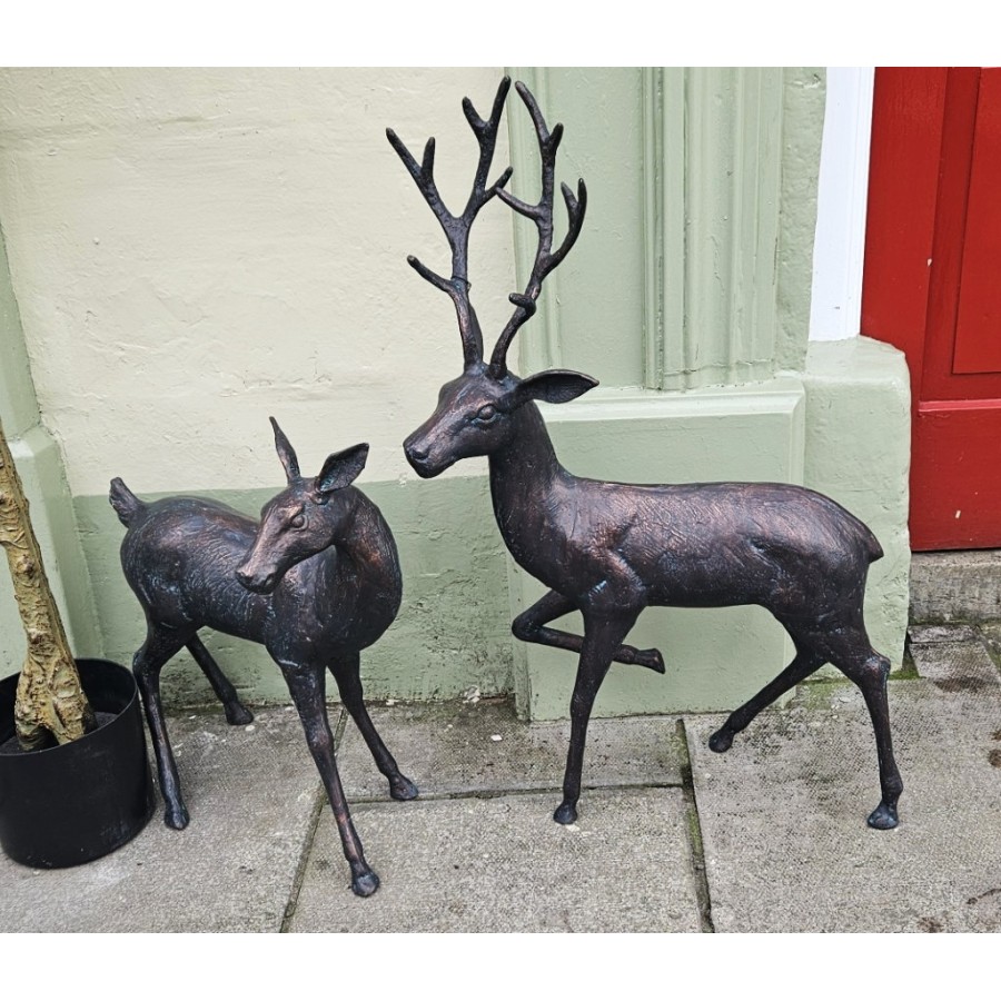 Stag & Doe