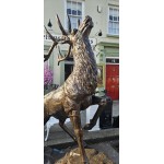Stag Climbing Rock Shine Finish