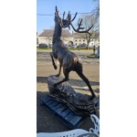 Stag Climbing Rock Shine Finish