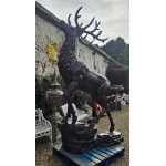 Master Of The Glen XL