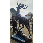 Master Of The Glen XL