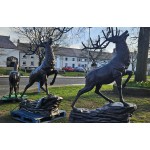 Stag Climbing Rock Shine Finish