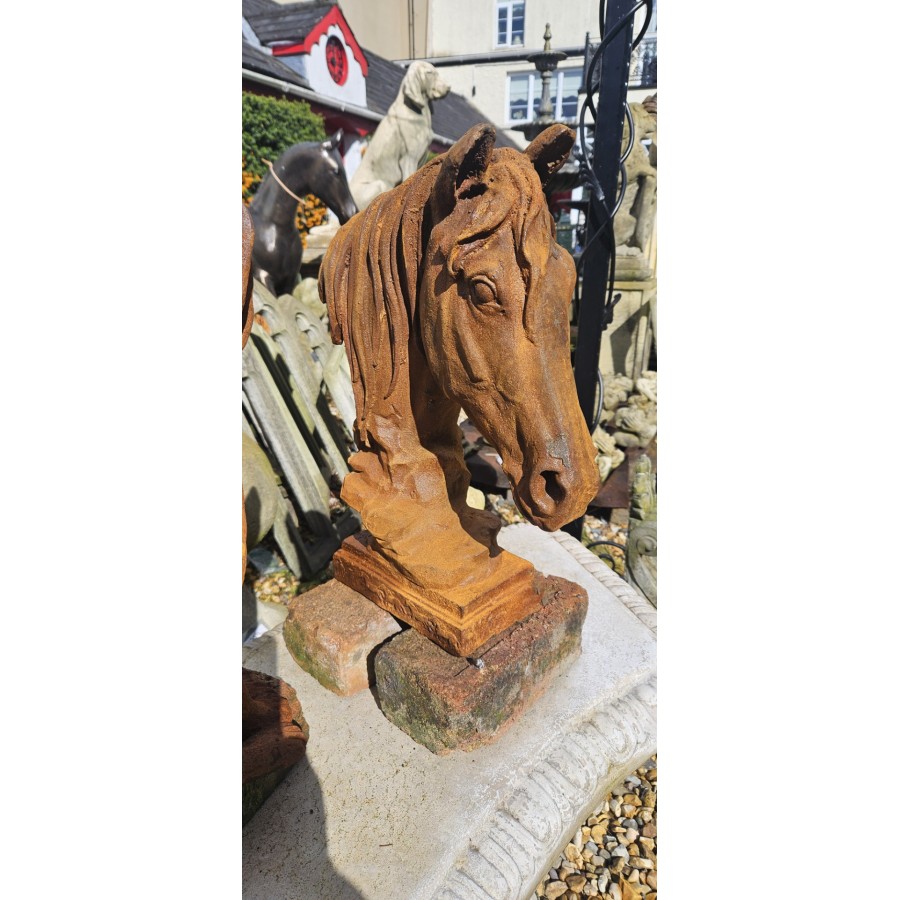 Horse Head