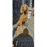 Gun Dog Pair 