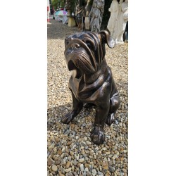 Bull Dog