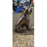 Bull Dog