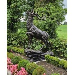 Stag Climbing Rock Shine Finish
