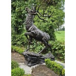Stag Climbing Rock Shine Finish