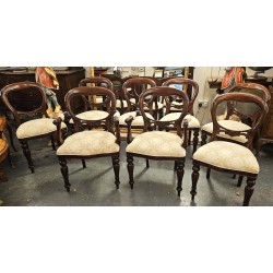 Dining Chairs