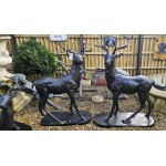 Cast Iron Stags